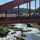 축제의 물결 | [철원여행] 고석정 꽃밭에서 만난 가을 꽃물결, 철원 꽃축제 리얼후기