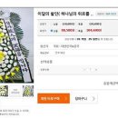 만평장례식장근조화환당일빠른배송꽃집