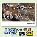 주식회사 다오 이미지