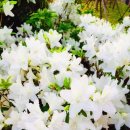 열구지 | 광주여행, #생생정보통 게장맛집 열구지, 충장로 스타벅스