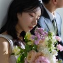프로아메이크업