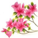 오늘도 봄 이미지