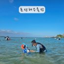 표선리-31 이미지