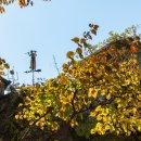 산모퉁이 이미지