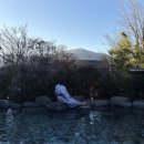 넓은정원별채 | 유후인 바이엔 별채 1박2일 후기, 유후다케 전망 온천부터 겨울 가이세키까지