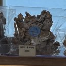 샐러디안동옥동점 | [안동카페, 안동소품샵] 하프플로어, HALFLOOR
