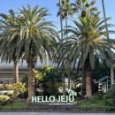 천지동-2 | 서귀포 천지연 야간 방문 후기(되도록이면 낮에 방문하세요!)