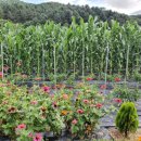 너래안농장 이미지