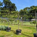 김종길 농장 이미지