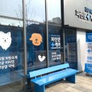 새파란약국 네이버블로그