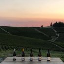 리베르타 이미지