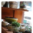 여우공방