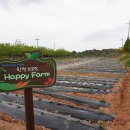 한전농장 이미지