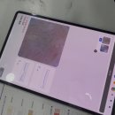 렌즈인걸 주식회사 | 서울 퍼스널컬러 진단 잘하는 곳 가성비 퍼스널컬러 성수 브랜미 성수점 그레이 코스 후기