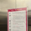 [플레이스캠프] 가성비 제주 숙소 / 스탠다드 플러스 뷰 2박 장,단점 솔직 후기
