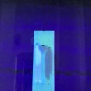 동북약국 이미지