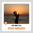 구평1로 | 2026 포항 해돋이 시간 및 현지인 추천 명소(호미곶, 구평포구) 후기