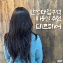 비둘기미용실 | 테르헤어 | 한성대입구역 꼼꼼한 가성비 미용실 추천 | 허쉬컷 만족 후기