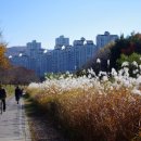 중앙공원(상) 이미지