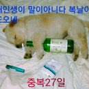 멍멍이 - 고양시 일산서구 중앙로 1443 | 멍멍이