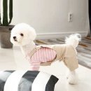 다솜코튼