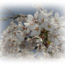 신한고등학교 이미지