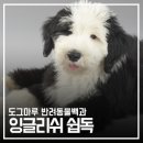 도그마루(왕십리점) 이미지