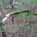 사재농장 이미지