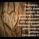 Verse of the day and prayer_260317 이미지