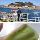 학곡농장 이미지