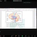 청소년심리상담사 이미지