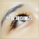 주안마원 | 부평 속눈썹 제이블리 유지력 ㅎㄷㄷ하다 :)