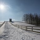 봄내목장 이미지