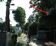성북-돈암-2105 이미지
