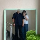 달노시스테이 이미지