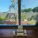 동천약품 이미지