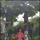 화천 만산 조각공원 & 이외수 감성마을 방문 이모저모 (2) 이미지