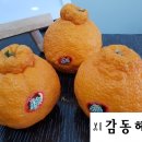 구립자양1동 봄뜰어린이집