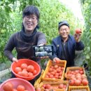 폰하우스 - 관악구 남부순환로 1594-1 | 폰하우스