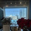 태림 | 시드더 뷰티 성수본점 '헤어 컨설팅' 태림 디자이너 단발 커트 후기