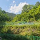 새골공원 이미지