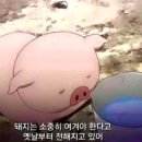 디톡스케어