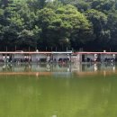 밤밭 이미지