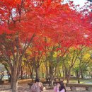 경상북도산림과학박물관(휴관) 이미지