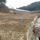 홍천군농업기술센터 남부지소 이미지