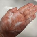 세수파파 | 파파레서피 효소세안제(클렌징파우더) 리얼후기🌿