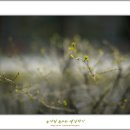 산본중앙공원 이미지