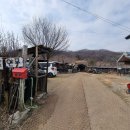 남양주 낚시터 아기자기한 토종터 창포연못낚시터