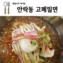 고메밀면(연산동) | 안락동 고메밀면 다녀왔는데 맛집이라기엔 애매하네?