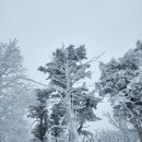 유곡공원 | 겨울 무주 덕유산 곤돌라 향적봉 탐방기 '눈꽃여행 갔다 바다에 반했다'